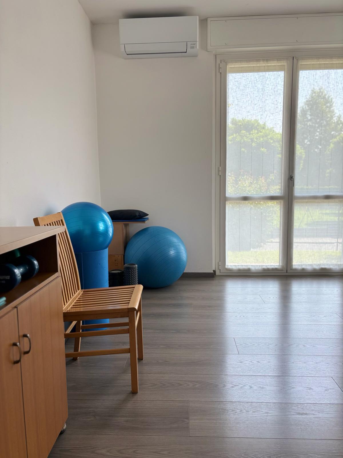 Sala con palle medicali e attrezzatura riabilitativa